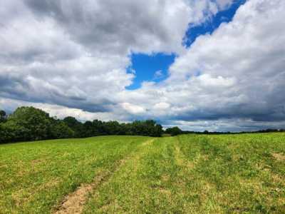 Residential Land For Sale in 