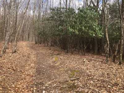 Residential Land For Sale in Whitetop, Virginia