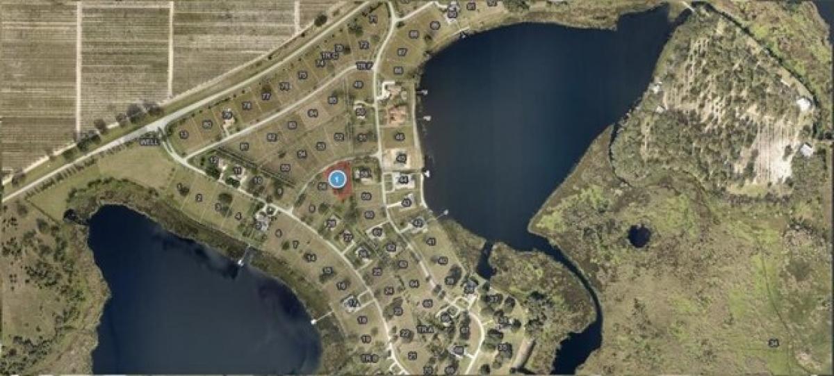 Picture of Residential Land For Sale in Groveland, Florida, United States