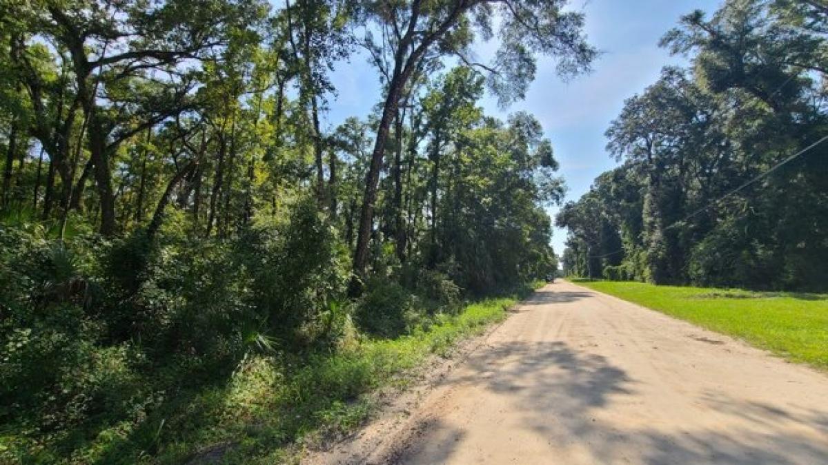 Picture of Residential Land For Sale in Old Town, Florida, United States