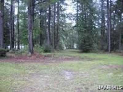 Residential Land For Sale in Elba, Alabama