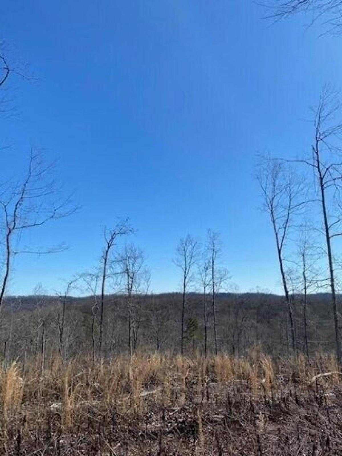 Picture of Residential Land For Sale in Decatur, Tennessee, United States