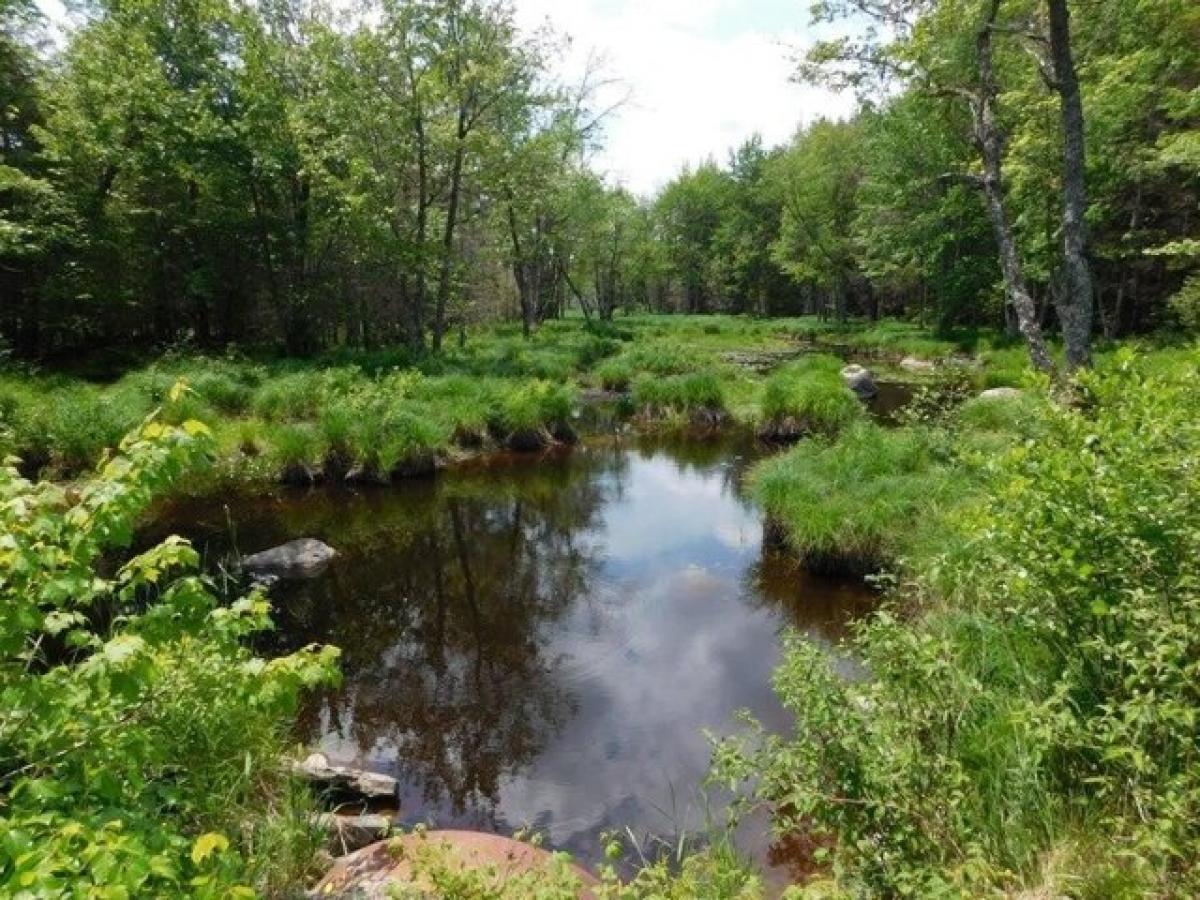 Picture of Residential Land For Sale in Howland, Maine, United States