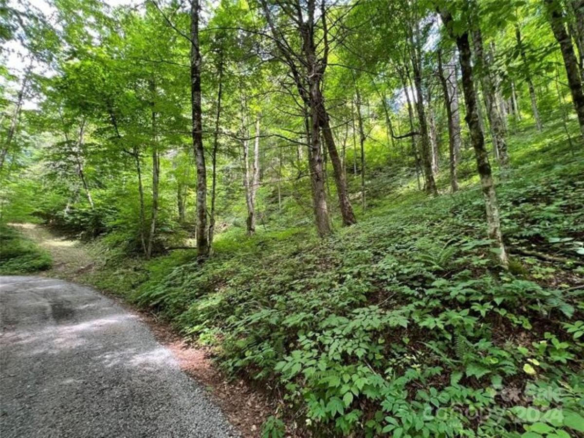 Picture of Residential Land For Sale in Burnsville, North Carolina, United States