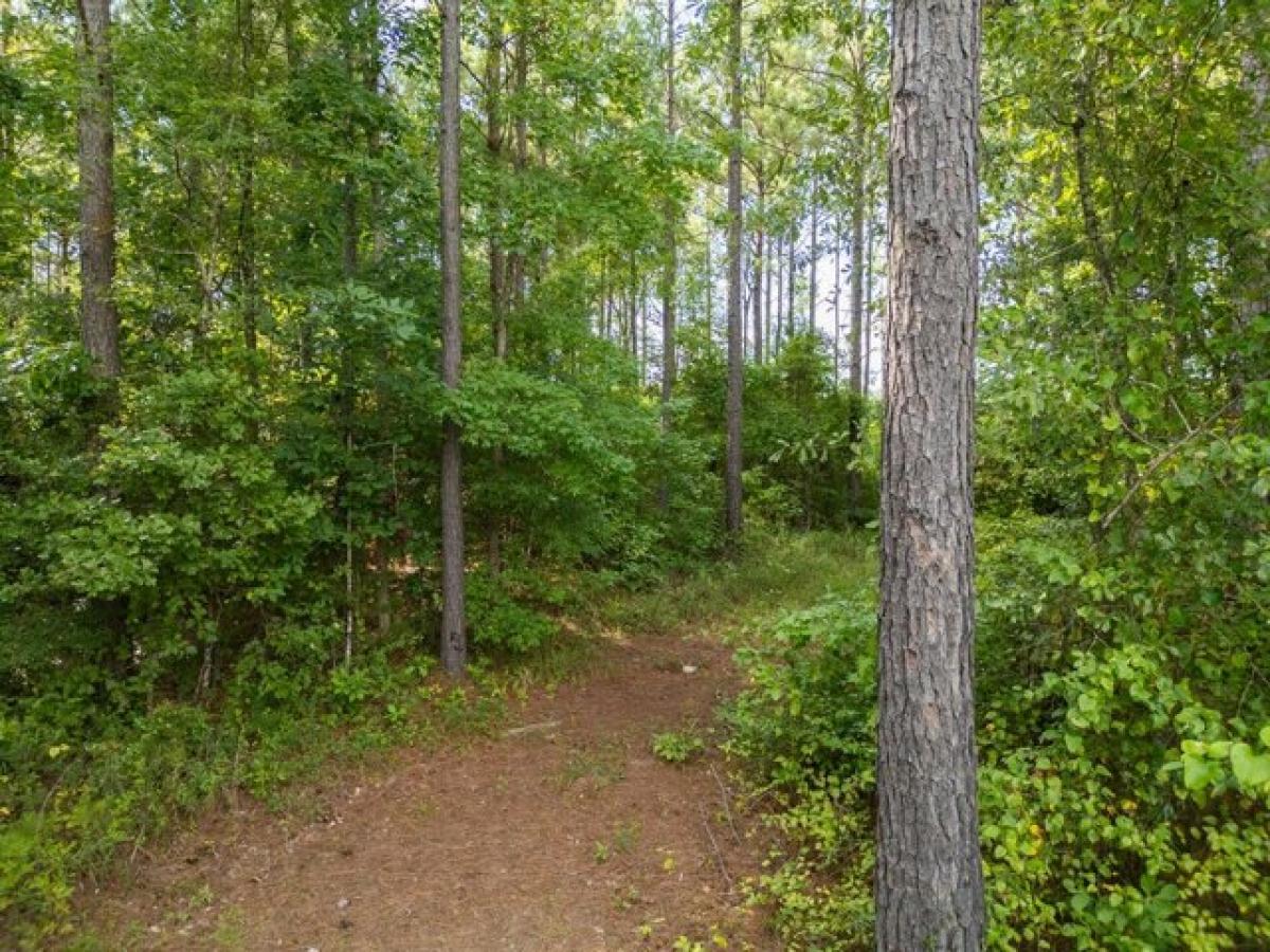 Picture of Home For Sale in Macon, Mississippi, United States