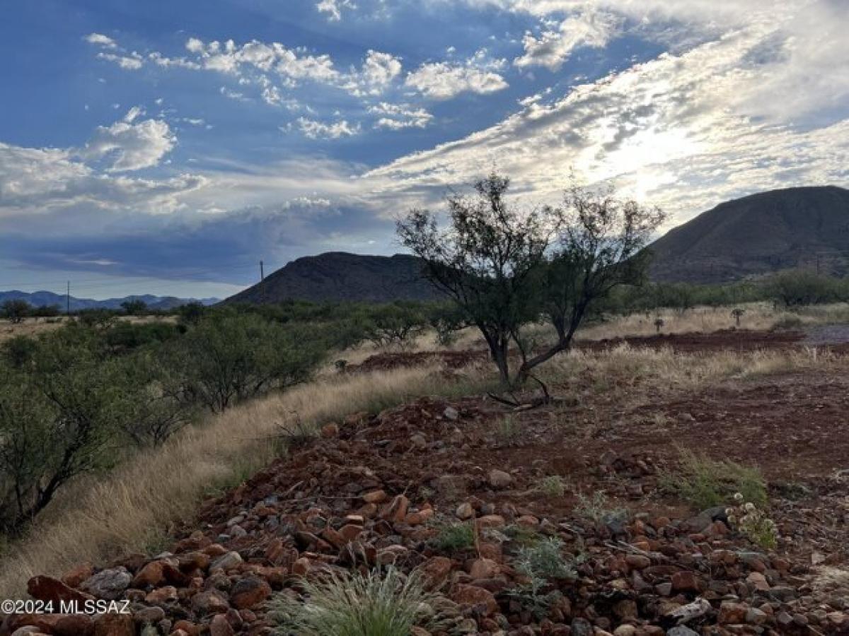 Picture of Residential Land For Sale in Rio Rico, Arizona, United States