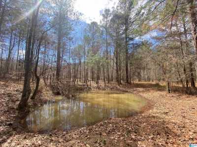 Residential Land For Sale in Ashville, Alabama