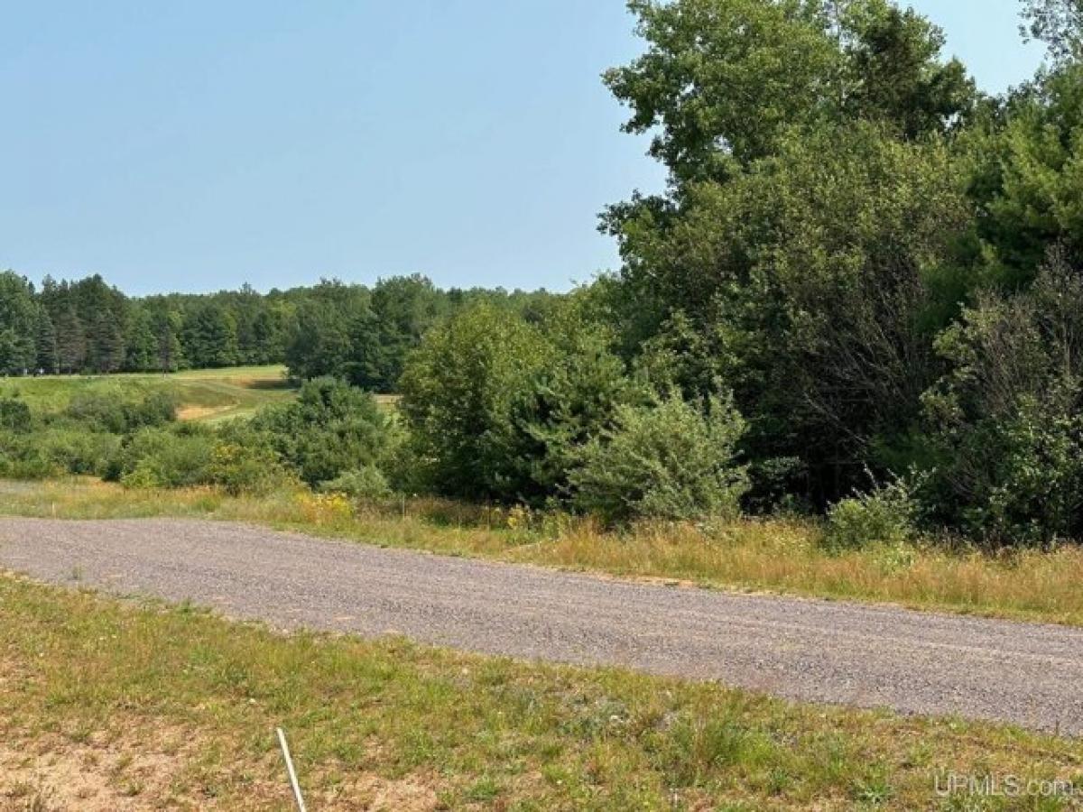 Picture of Residential Land For Sale in Houghton, Michigan, United States