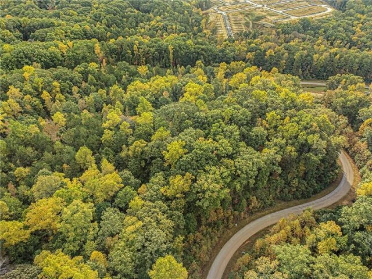 Picture of Residential Land For Sale in Dallas, Georgia, United States