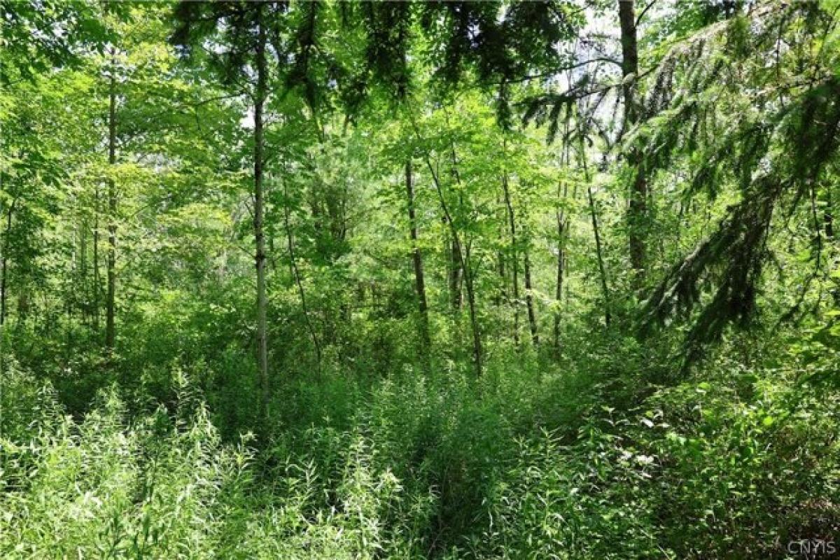 Picture of Residential Land For Sale in Marathon, New York, United States