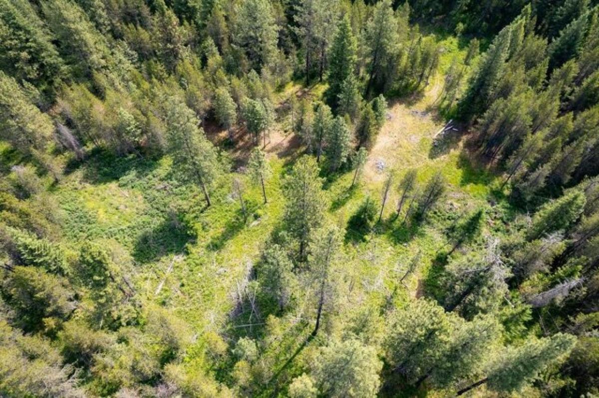 Picture of Residential Land For Sale in Elk, Washington, United States