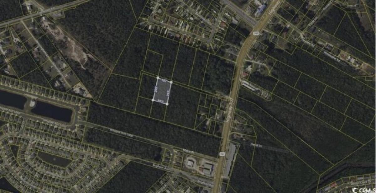 Picture of Residential Land For Sale in Myrtle Beach, South Carolina, United States