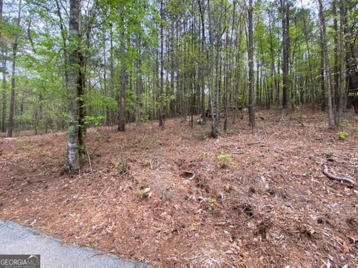 Picture of Residential Land For Sale in Conyers, Georgia, United States