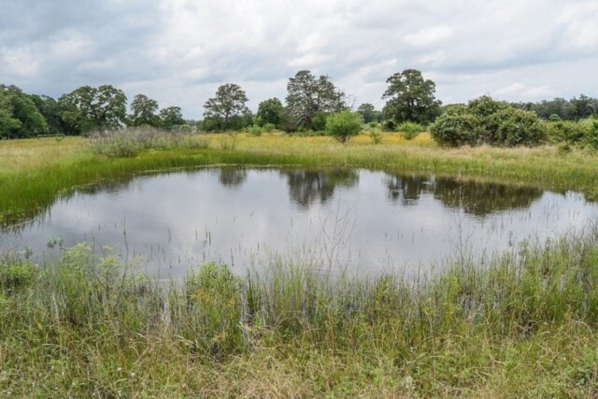 Picture of Residential Land For Sale in Carmine, Texas, United States