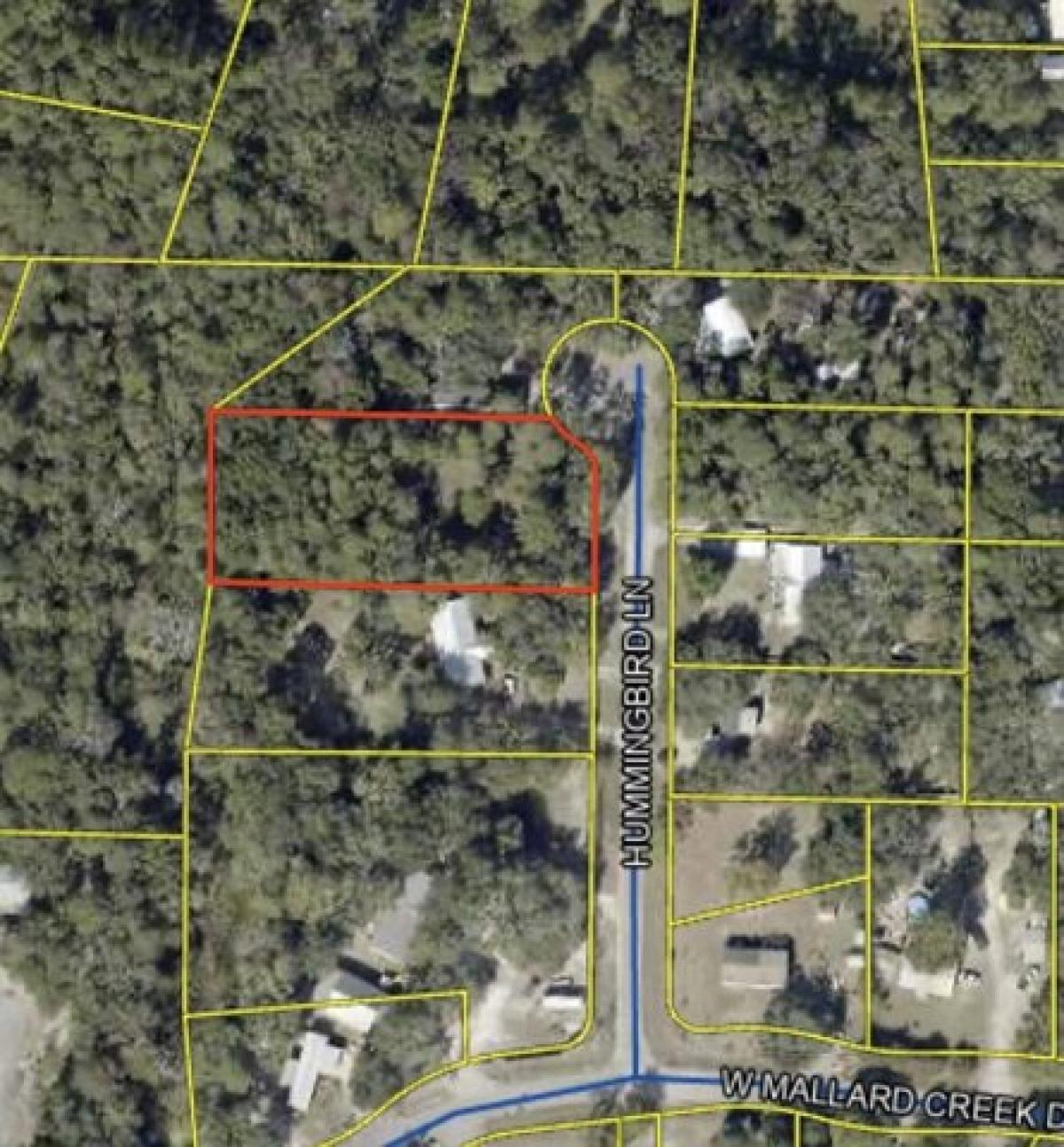 Picture of Residential Land For Sale in Freeport, Florida, United States