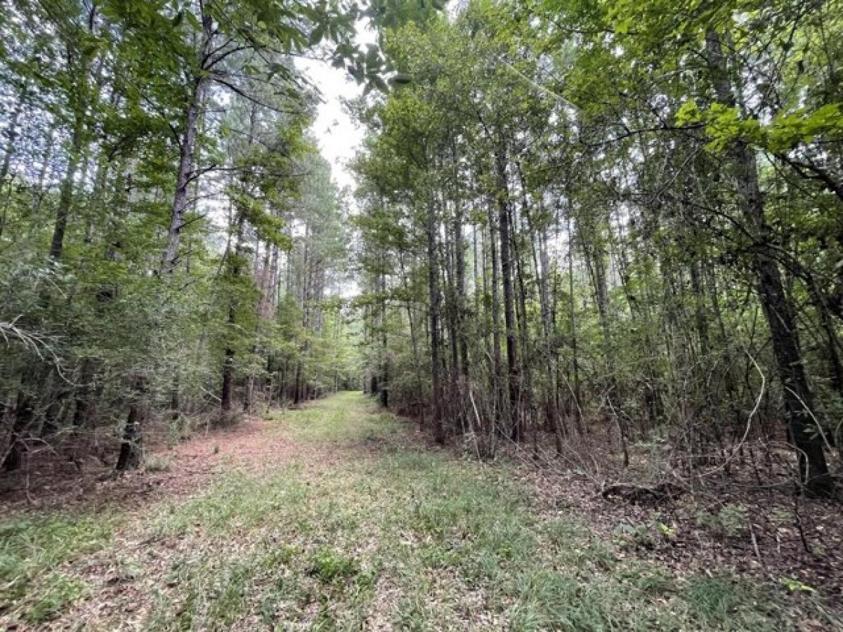 Picture of Residential Land For Sale in Richton, Mississippi, United States