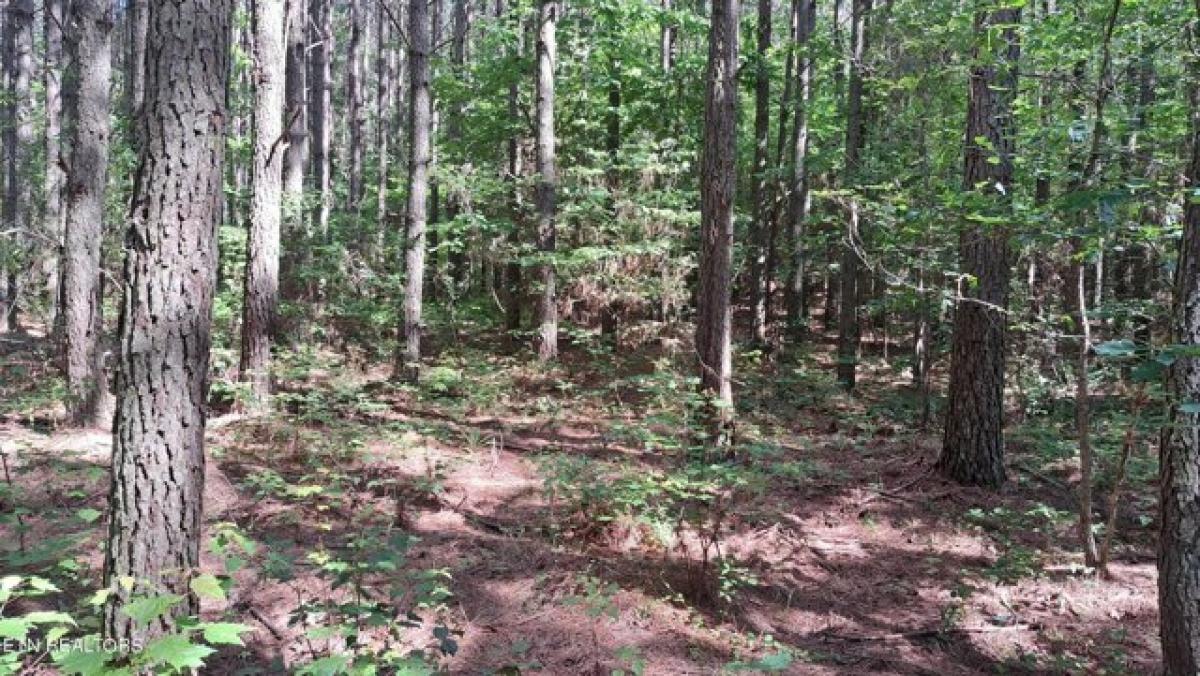 Picture of Residential Land For Sale in Rockwood, Tennessee, United States