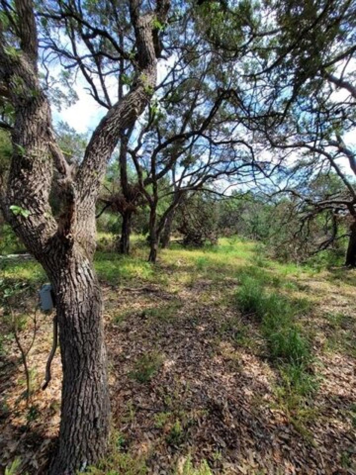 Picture of Residential Land For Sale in Driftwood, Texas, United States