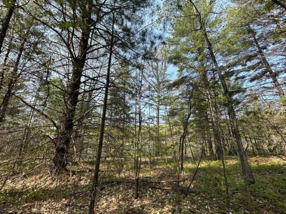 Picture of Residential Land For Sale in Gaylord, Michigan, United States