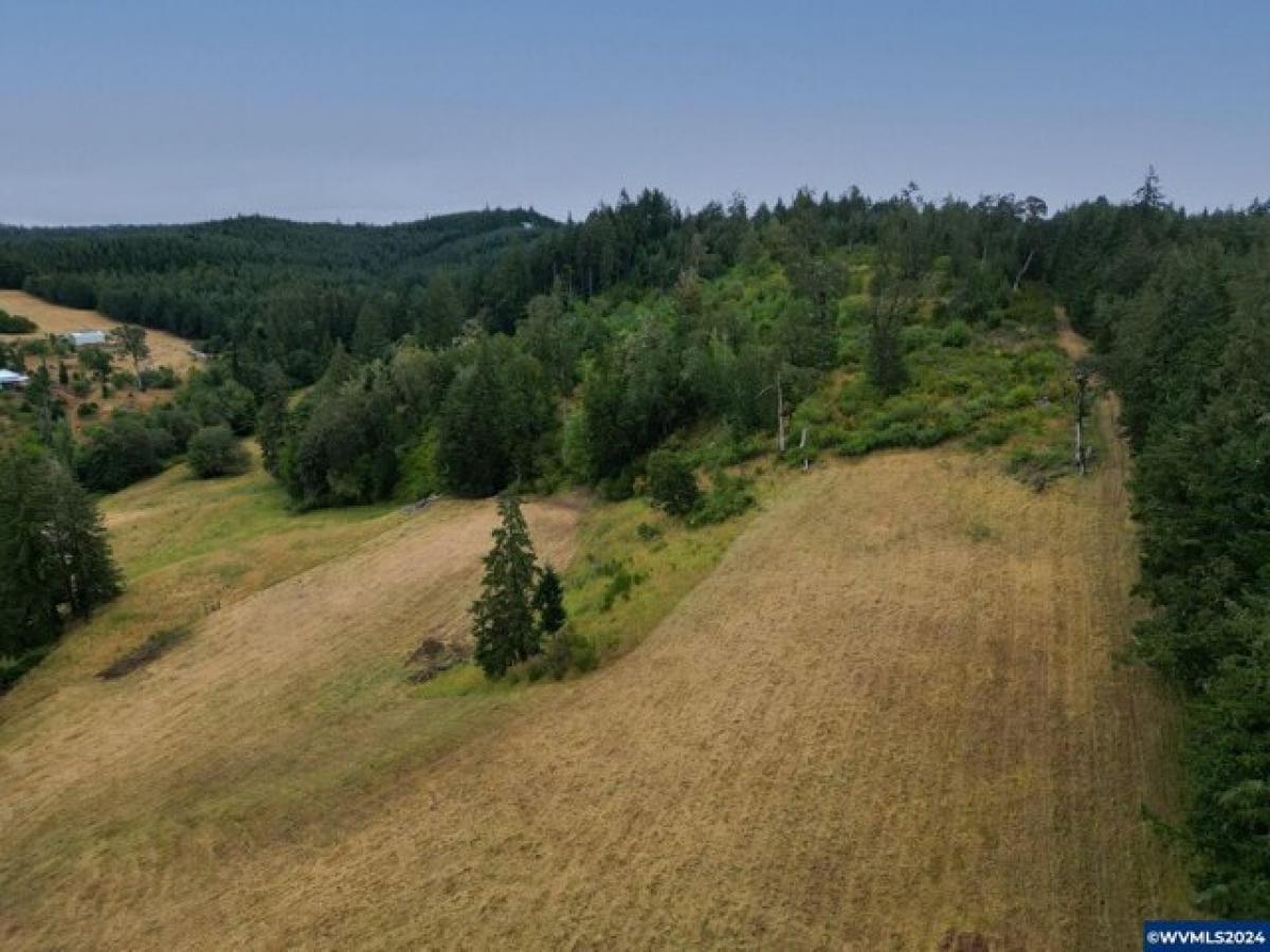 Picture of Residential Land For Sale in Dallas, Oregon, United States