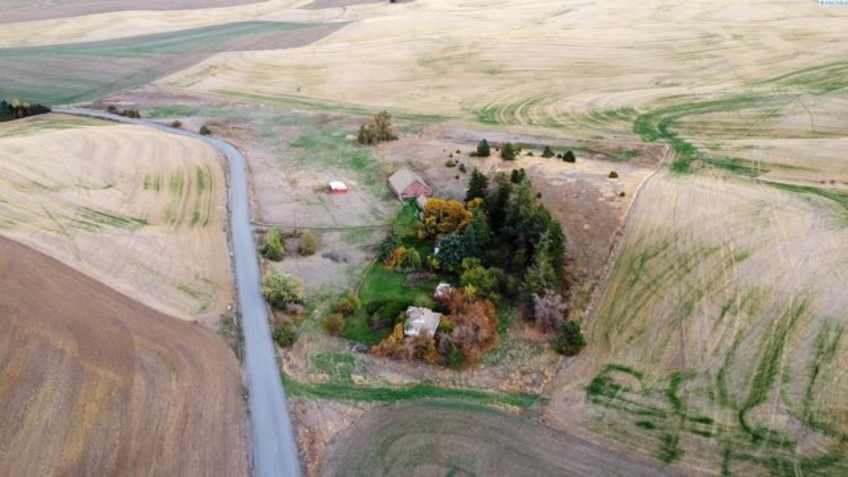 Picture of Home For Sale in Pullman, Washington, United States