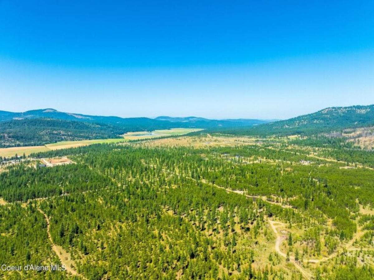 Picture of Residential Land For Sale in Blanchard, Idaho, United States