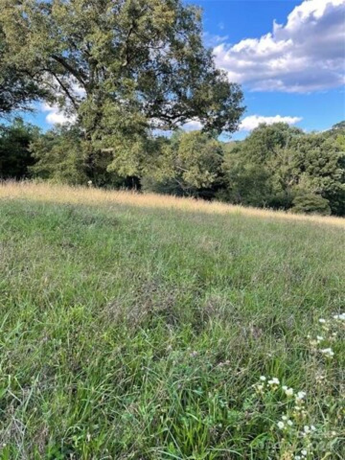 Picture of Residential Land For Sale in Candler, North Carolina, United States