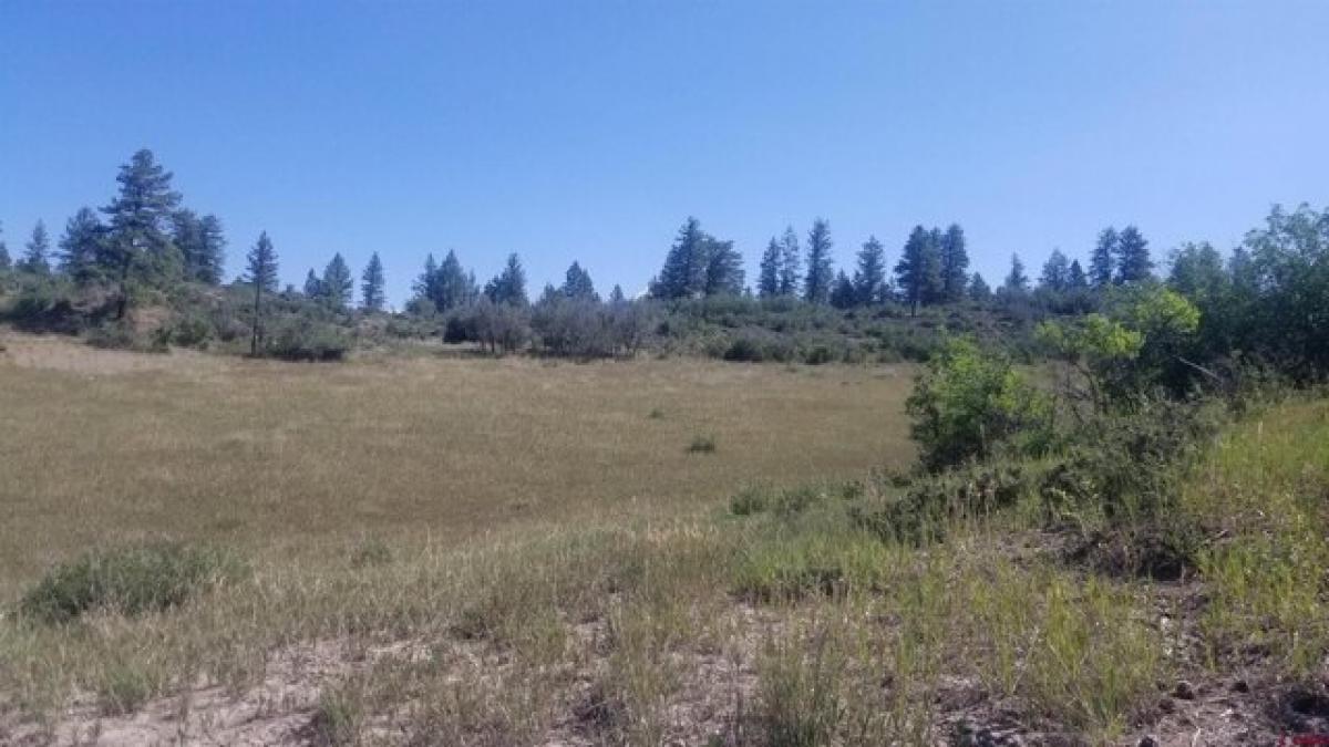 Picture of Residential Land For Sale in Pagosa Springs, Colorado, United States