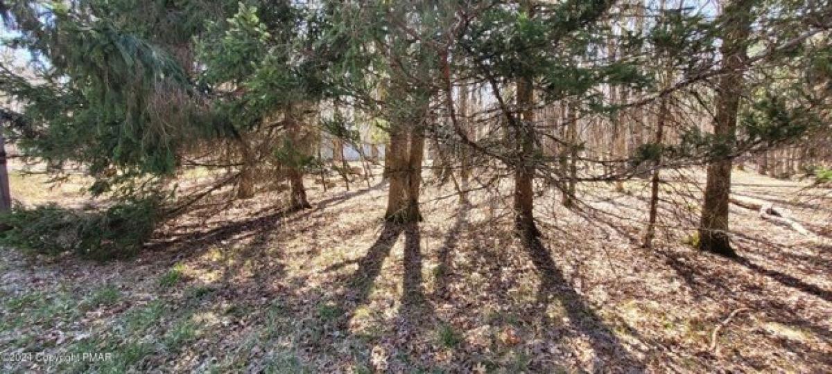 Picture of Residential Land For Sale in Albrightsville, Pennsylvania, United States