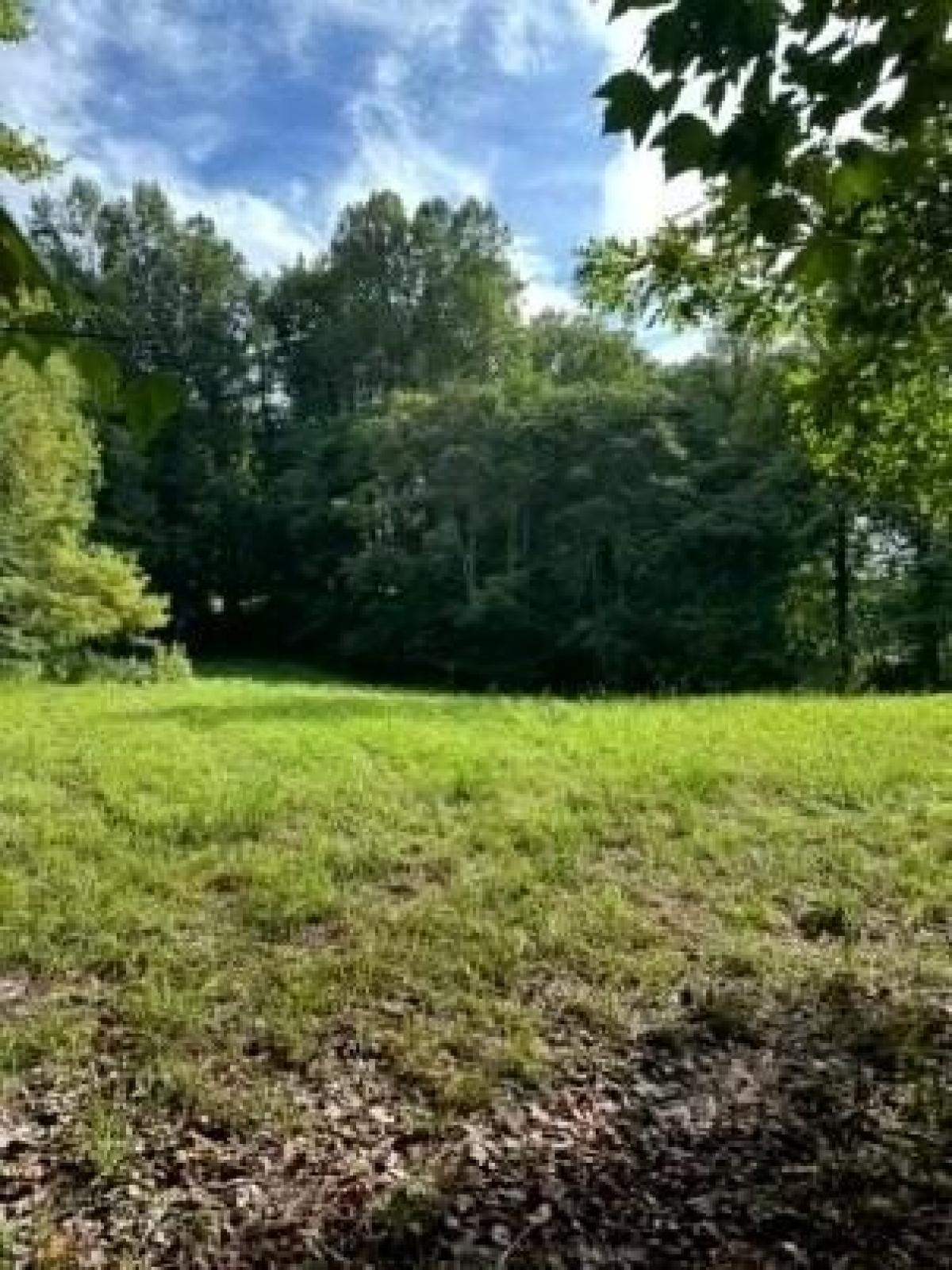 Picture of Residential Land For Sale in Moneta, Virginia, United States