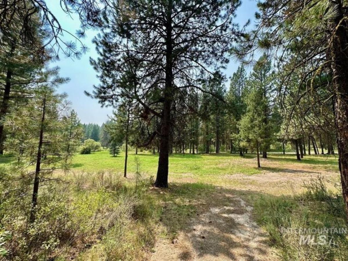 Picture of Residential Land For Sale in Cascade, Idaho, United States