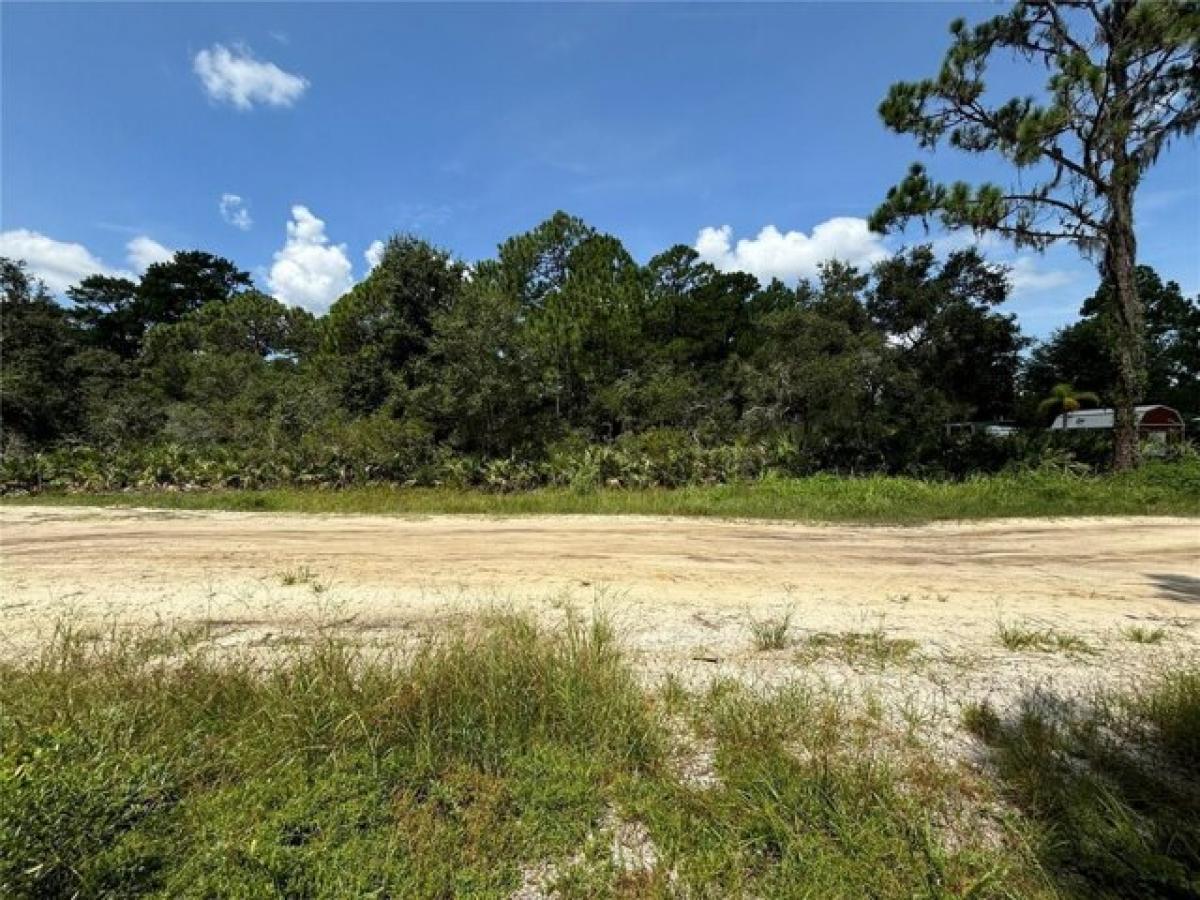 Picture of Residential Land For Sale in Debary, Florida, United States