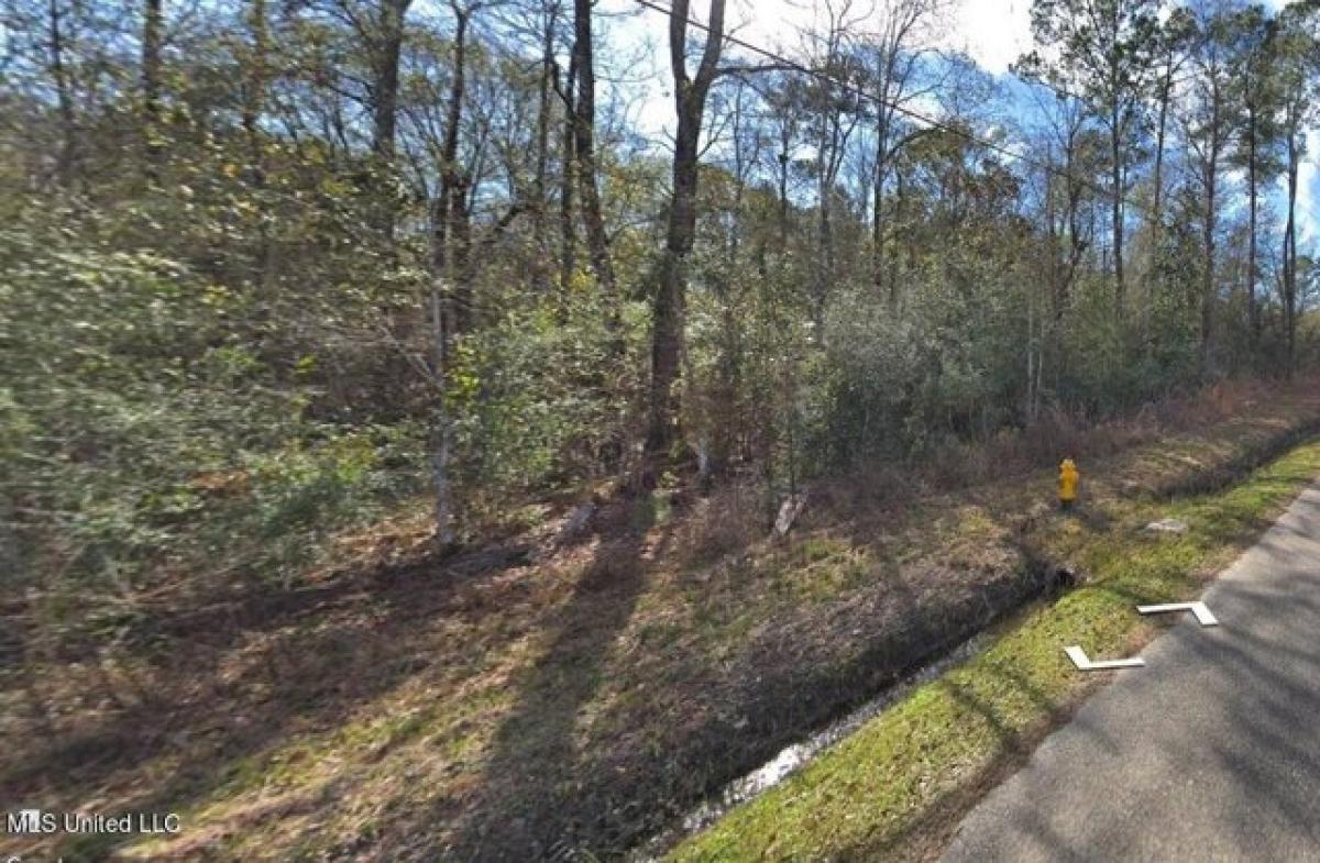 Picture of Residential Land For Rent in Pearlington, Mississippi, United States