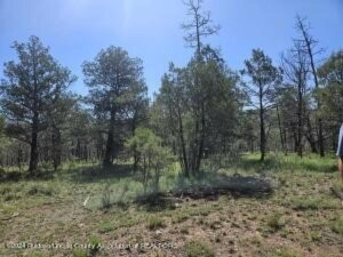 Picture of Residential Land For Sale in Ruidoso, New Mexico, United States