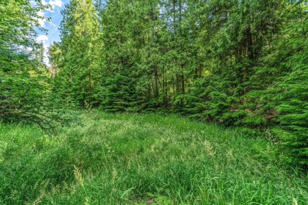 Picture of Residential Land For Sale in Sagle, Idaho, United States