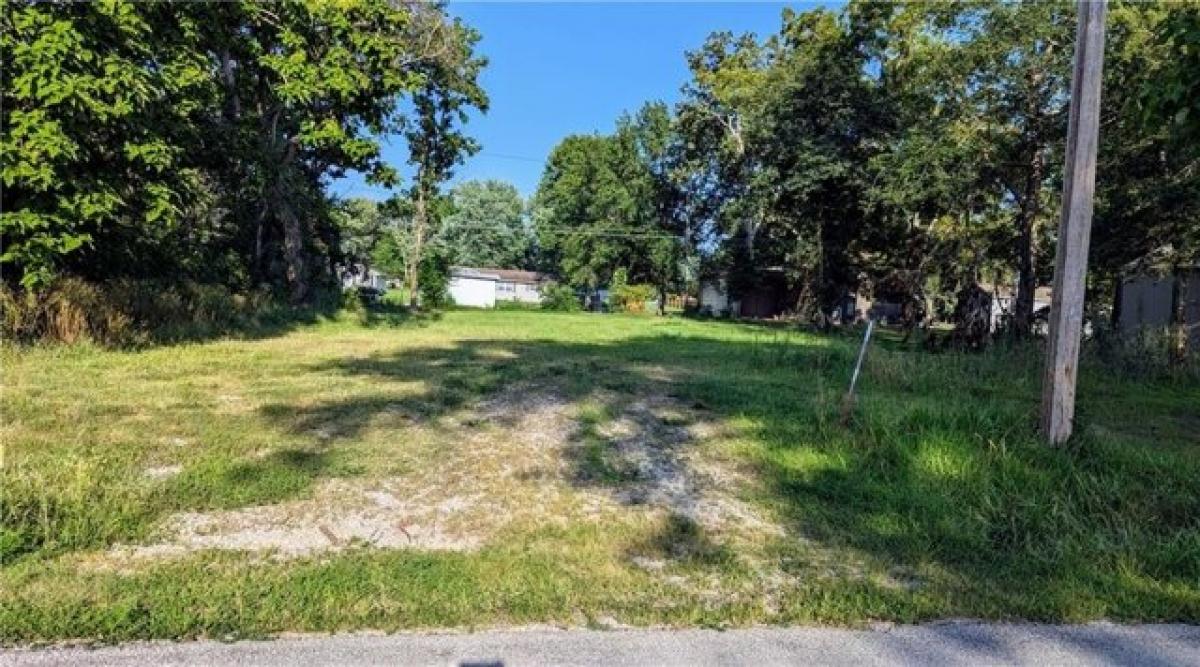 Picture of Residential Land For Rent in El Dorado Springs, Missouri, United States