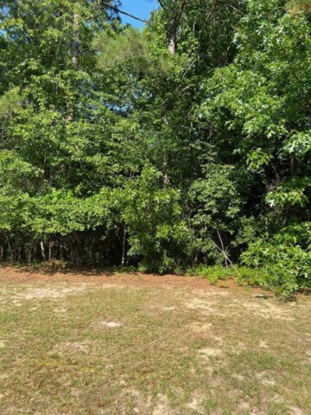 Picture of Residential Land For Sale in Aiken, South Carolina, United States