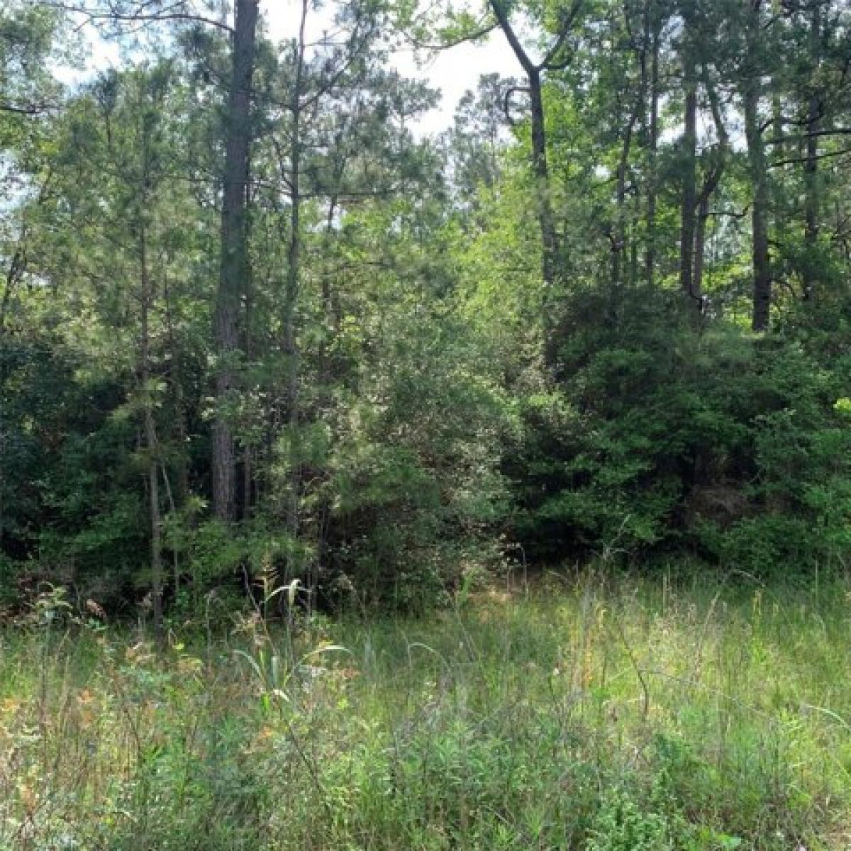 Picture of Residential Land For Sale in Onalaska, Texas, United States