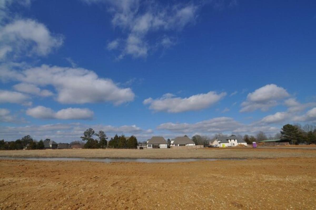 Picture of Residential Land For Sale in Tupelo, Mississippi, United States