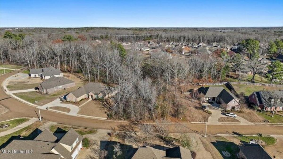 Picture of Residential Land For Sale in Clinton, Mississippi, United States