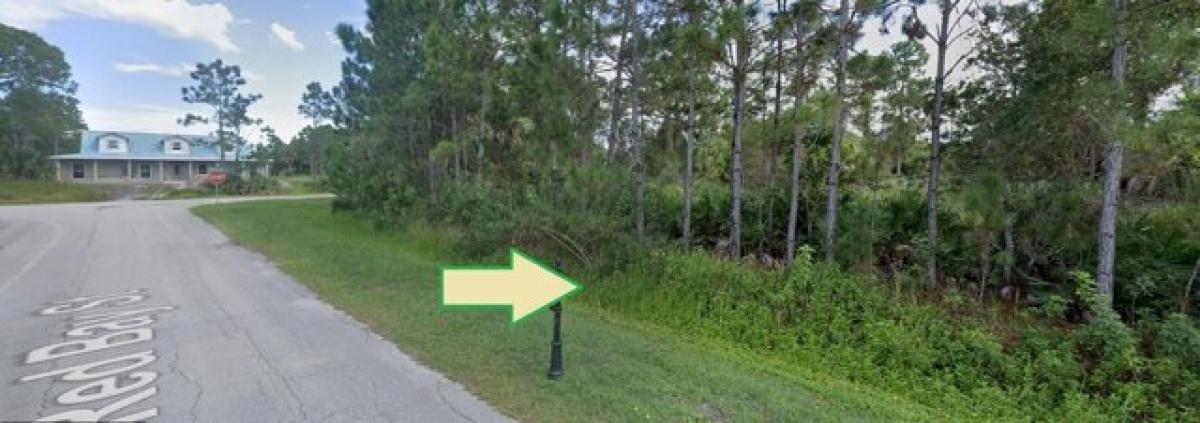 Picture of Residential Land For Sale in Grant, Florida, United States