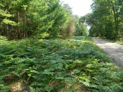 Residential Land For Sale in Pentwater, Michigan