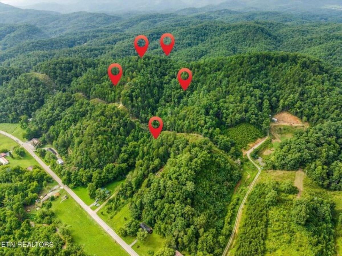 Picture of Residential Land For Sale in Cosby, Tennessee, United States