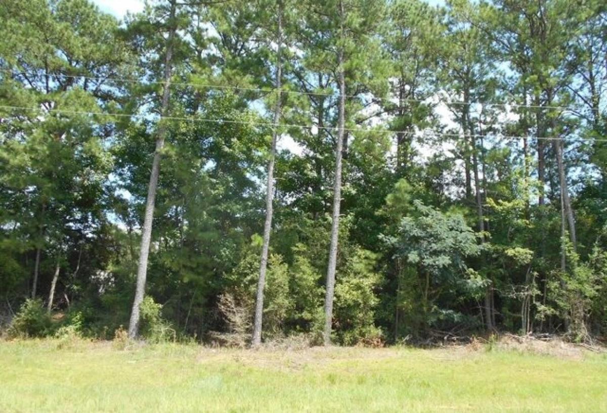 Picture of Residential Land For Sale in Silver Creek, Mississippi, United States