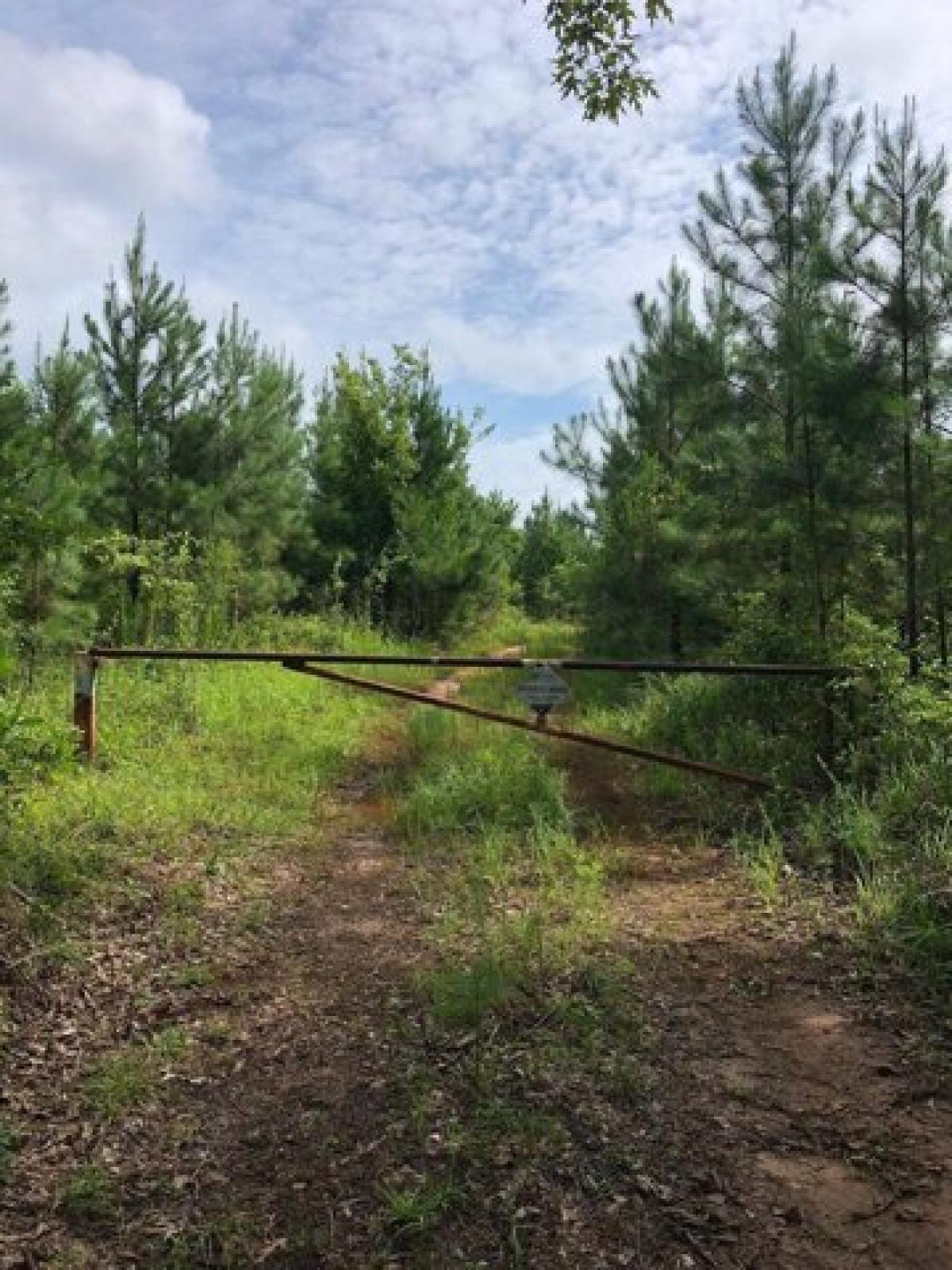 Picture of Residential Land For Sale in Toomsboro, Georgia, United States