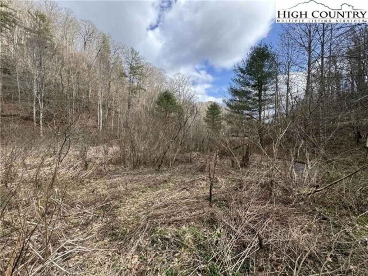 Picture of Residential Land For Sale in Bakersville, North Carolina, United States