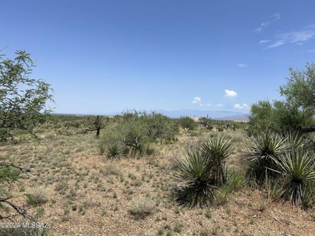 Picture of Residential Land For Sale in Vail, Arizona, United States