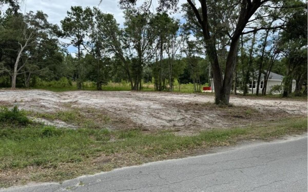 Picture of Residential Land For Sale in Live Oak, Florida, United States