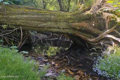 Residential Land For Sale in Harrison, Idaho