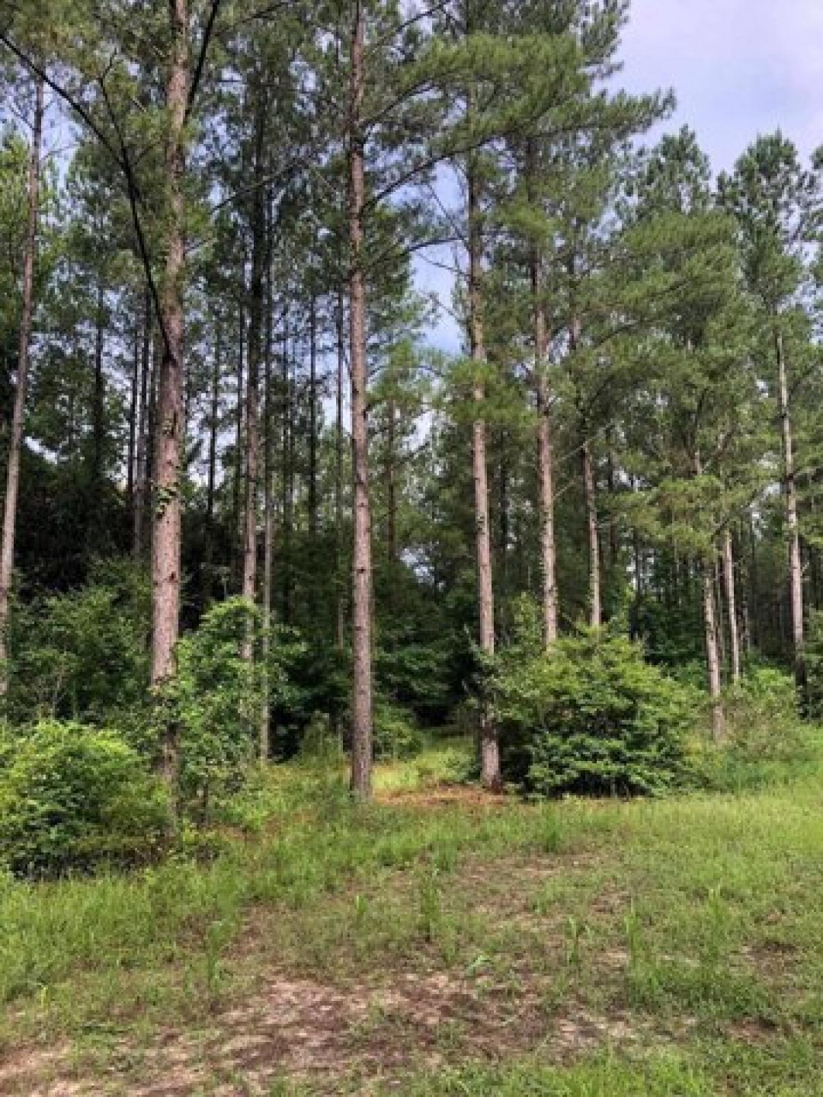 Picture of Residential Land For Sale in Toomsboro, Georgia, United States